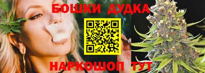 крисы Лесосибирск