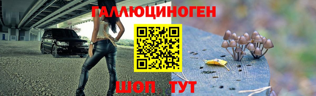 Димитровград  Псилоцибиновые грибы мицелий  Вход с VPN  Галлюциногенные грибы GOLDEN TEACHER 